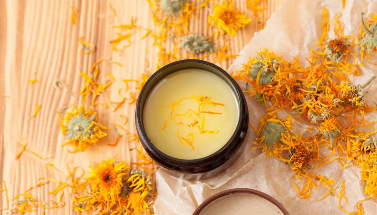 Properties and benefits of calendula tincture