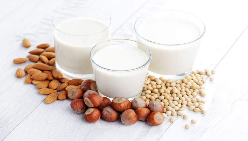 Vegetable milks: find out what they are and all their properties