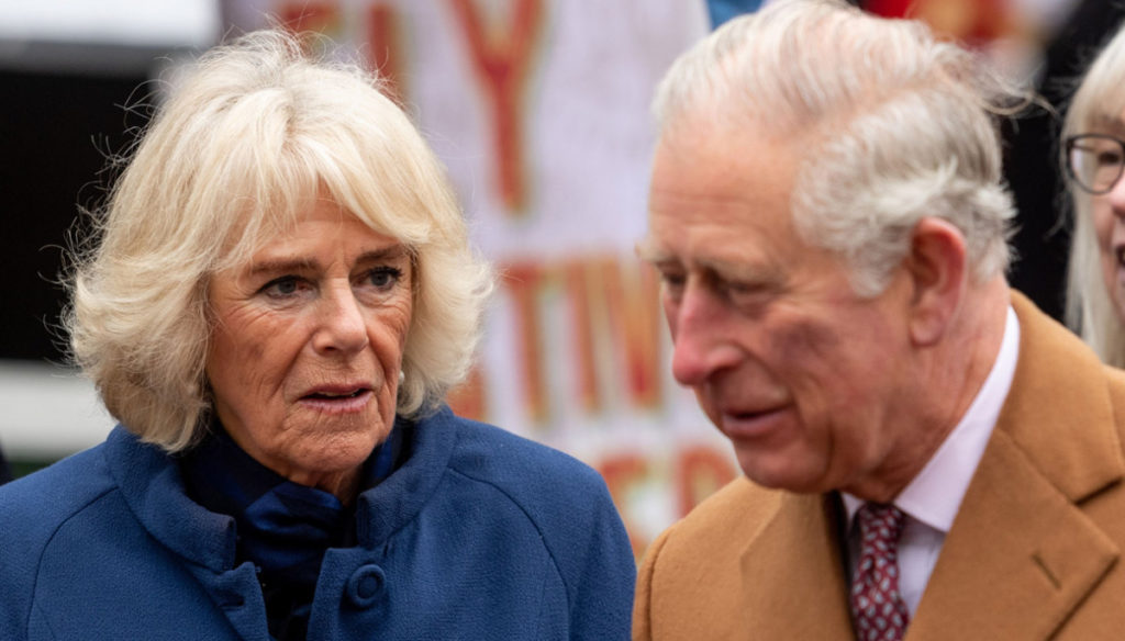 Carlo and Camilla, the secret son appears. Diana knew everything