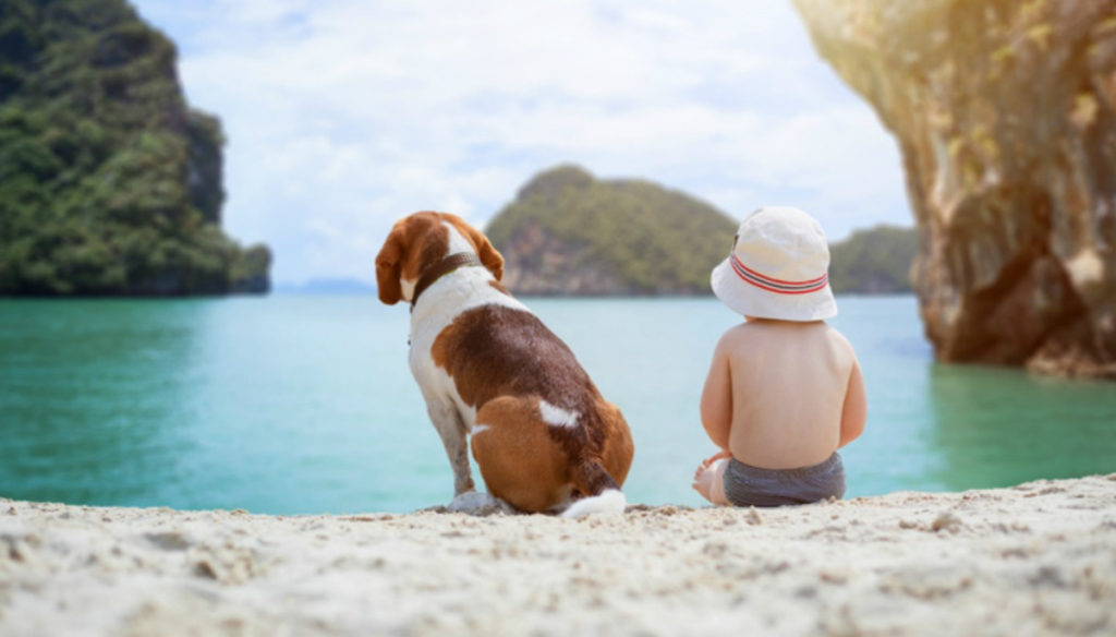 Dogs on the beach are good for children. Science says it