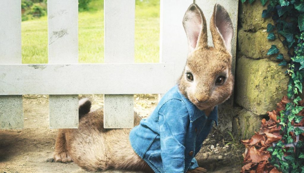 Peter Rabbit, the most daring (and irresistible) rabbit returns to the cinema