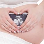 The placenta: what it is, when it is formed and what it is used for