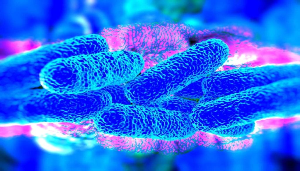 What is legionella: symptoms, causes and treatments