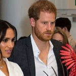 Meghan Markle in Wellington between orcs and knights: exposed legs and hands in pockets
