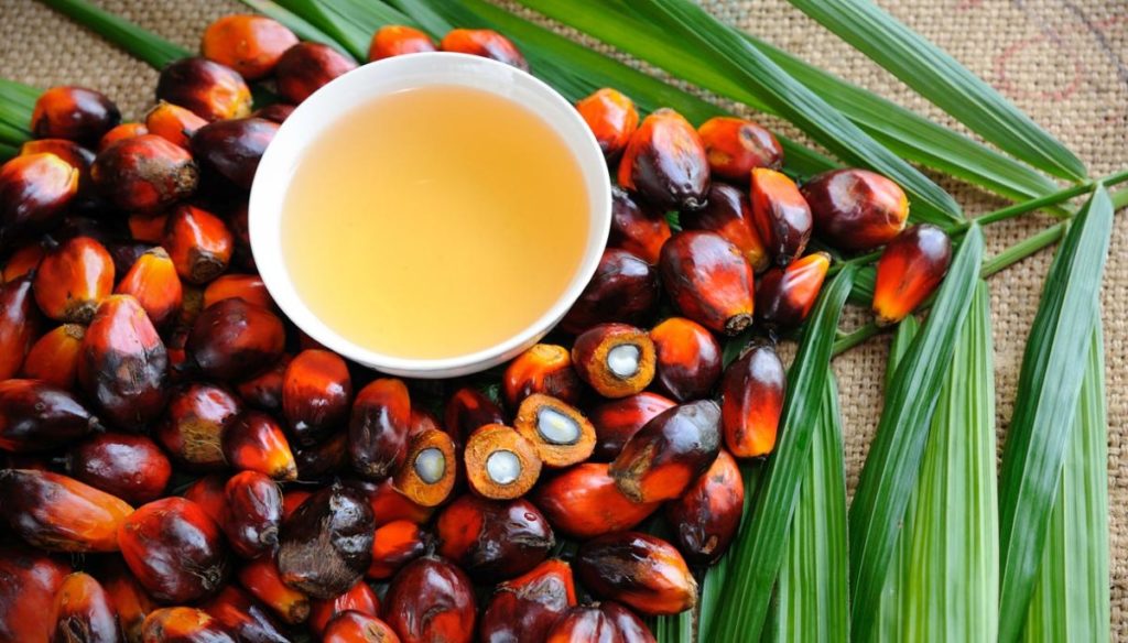 Palm oil, a discovery substance that fights cancer