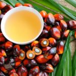 Palm oil, a discovery substance that fights cancer