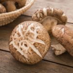 Shiitake mushroom: do you know its benefits and contraindications?