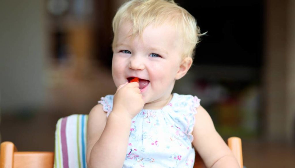 The world of the child: vegetarian or normal weaning