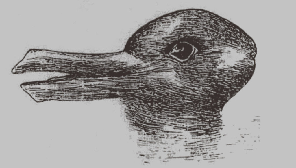 Duck or hare? What you see says how you are