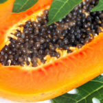 Fermented papaya, miraculous tonic: the properties