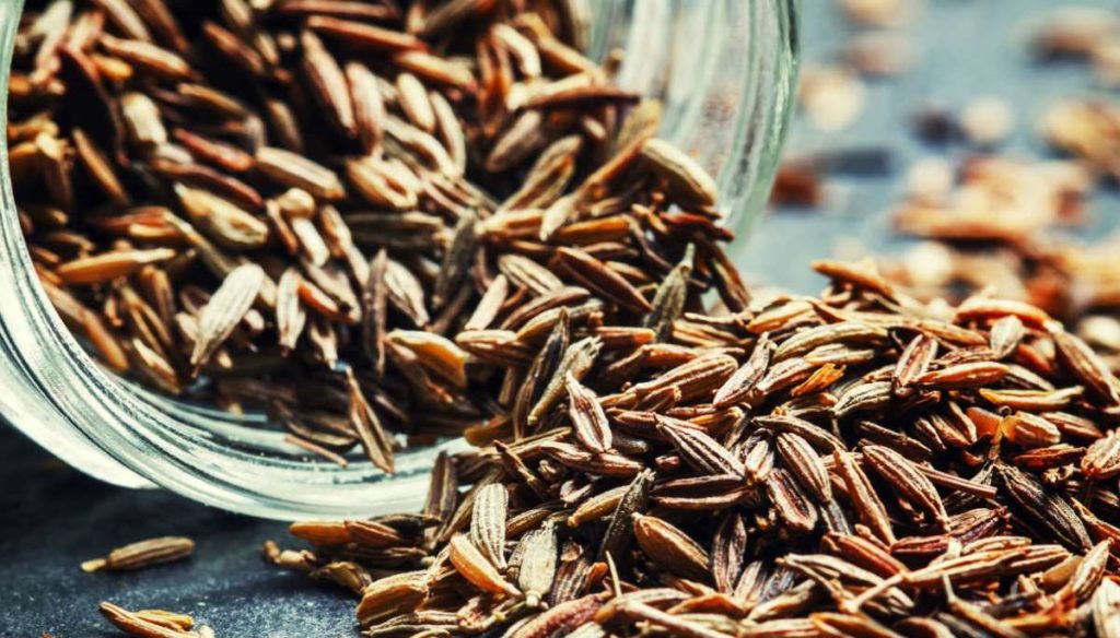 Cumin, antioxidant and digestive, discover its properties