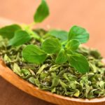 Oregano essential oil: uses and benefits