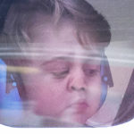 Prince George leans his nose against the window and the photo is viral