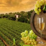 Vegan wine: what it is and how to recognize it