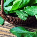 Sorrel to fill up on vitamin C, purify and protect the heart