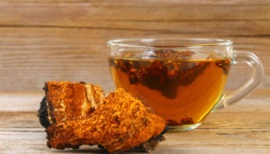Chaga tea to fight inflammation and strengthen the immune system