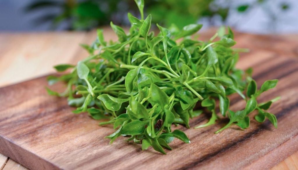 Watercress, get your fill of vitamin A and protect your bones