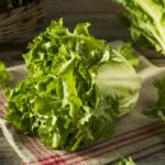 Diet with escarole, rich in folate and an ally of the intestine