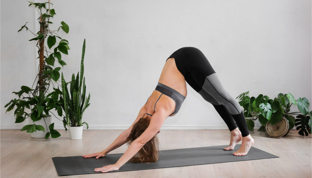 The main positions and the benefits of Hatha Yoga