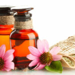 Echinacea: the natural ally for the well-being of the respiratory tract
