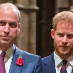 William and Harry, face to face private after Diana's memorial