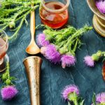 Milk thistle: properties and uses