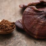 Reishi mushroom: properties, what it is for and how to take it