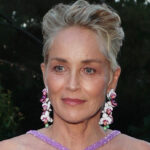 Sharon Stone, the latest gift from grandson River: "He saved three people"
