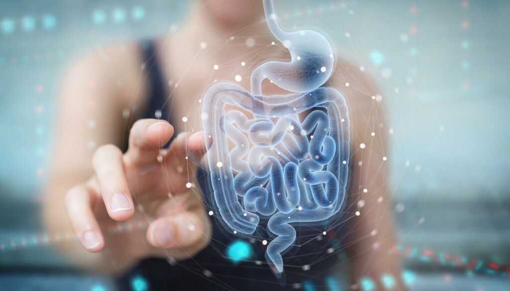Intestinal dysbiosis: what it is, symptoms and remedies
