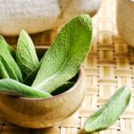 Sage: properties, benefits and uses