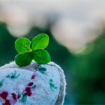 Why does the four-leaf clover bring good luck?