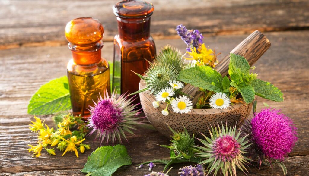 Effective natural remedies for the most common and frequent ailments