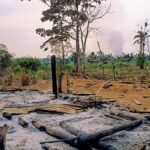 Gli omicidi degli attivisti ambientalisti