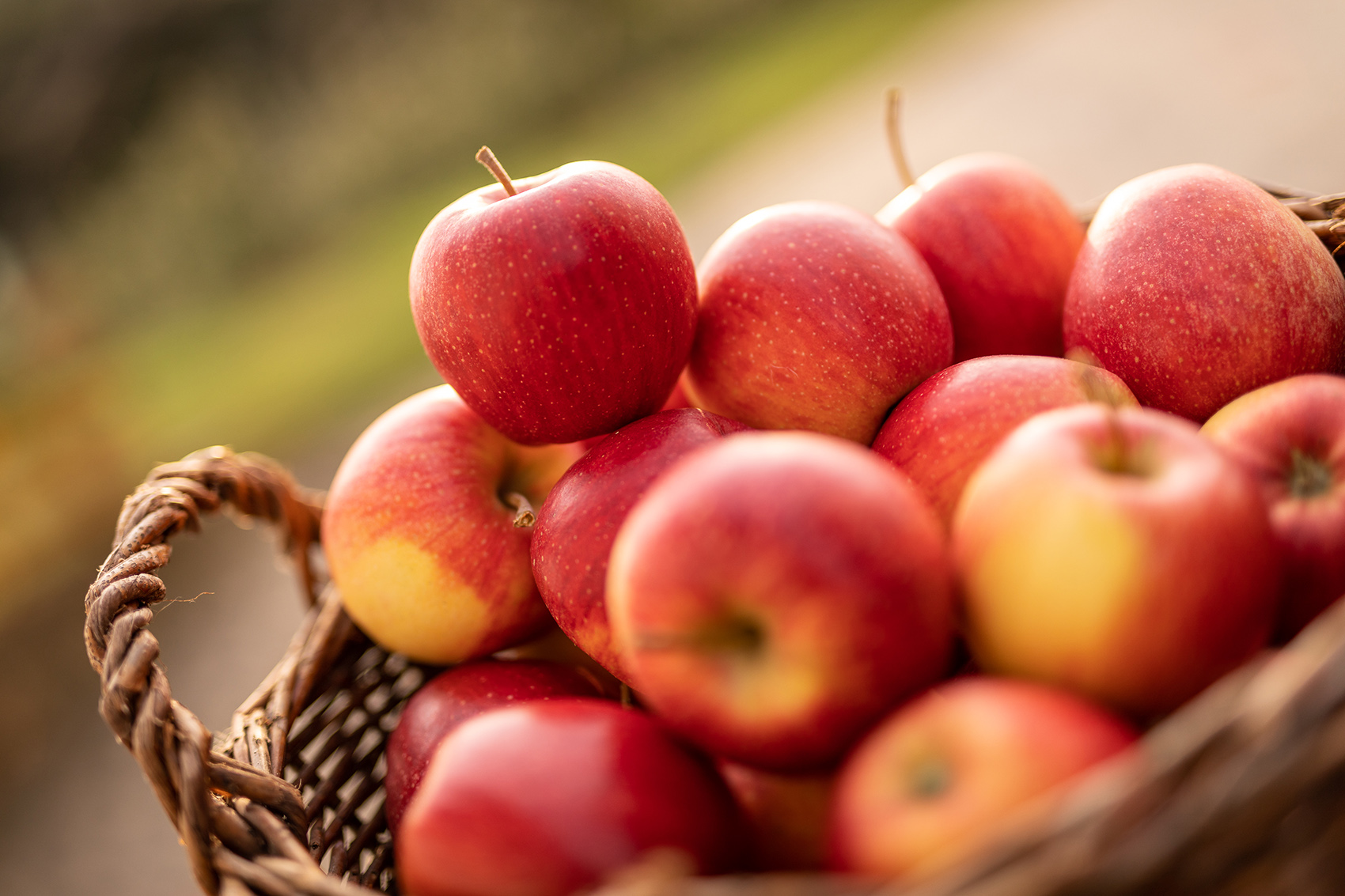 Red apples: why they are good and how to consume them