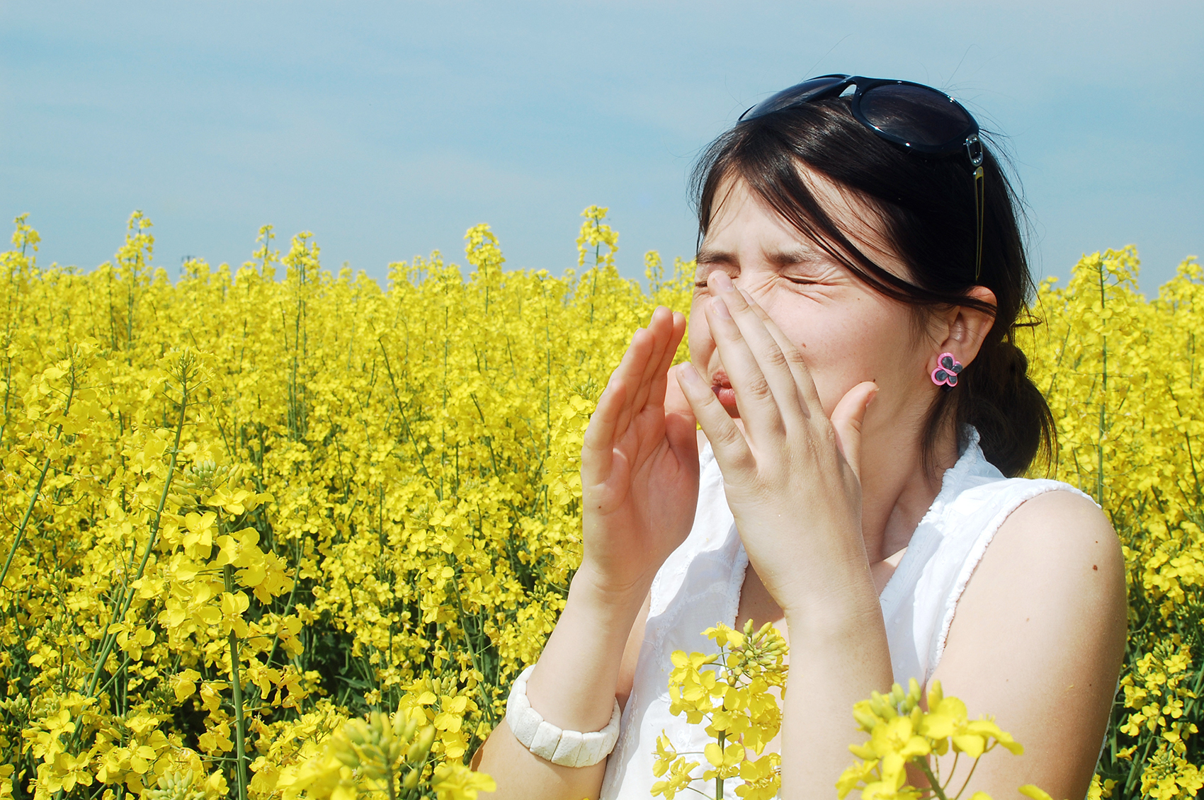 Immune system: if you know it, you manage allergies better