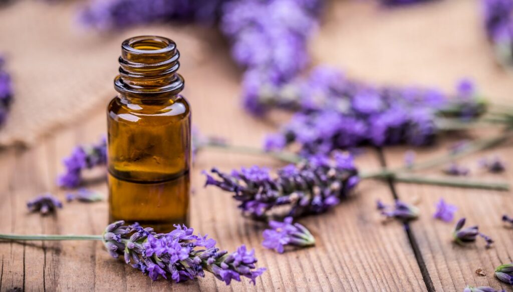 Lavender essential oil: properties and how to use it