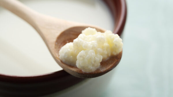 Kefir: what it is, why it is good for you and how to prepare it