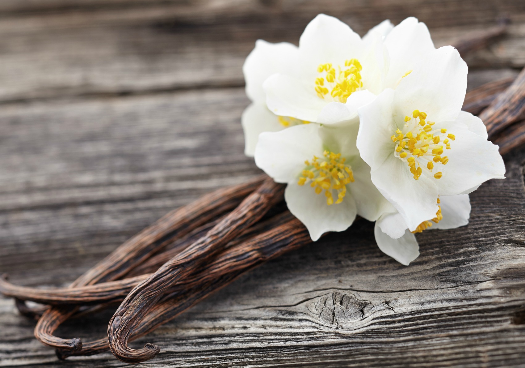 Vanilla Eau Parfumée for the body: the DIY recipe