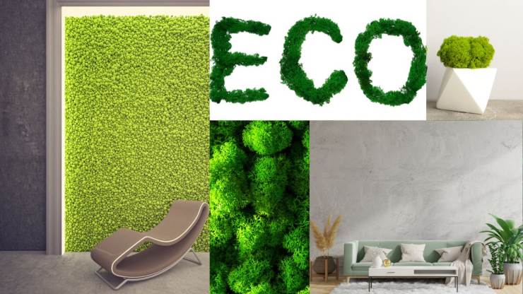 Moss Trend new eco-sustainable frontier
