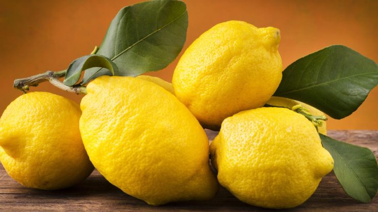 lemon frost tricks