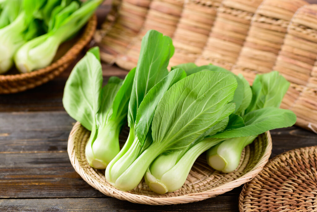 Pak choi: how to grow Chinese cabbage on the balcony