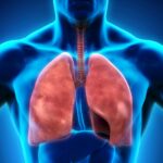 Covid: infection and lung damage, differences between men and women, when it is