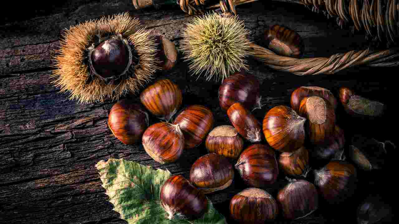 chestnuts mistakes