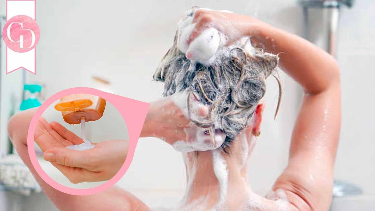solid shampoo 