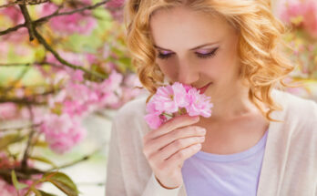 Hyposmia or loss of smell: the causes, how to cure