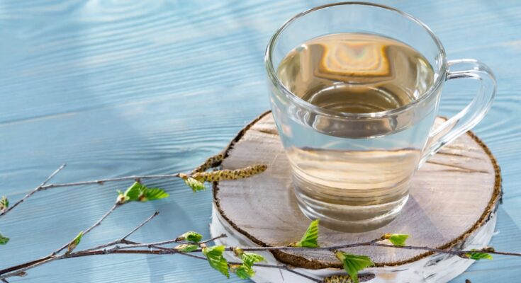 Birch sap: what it is, benefits, medicinal and nutritional properties, what it is used for, contraindications