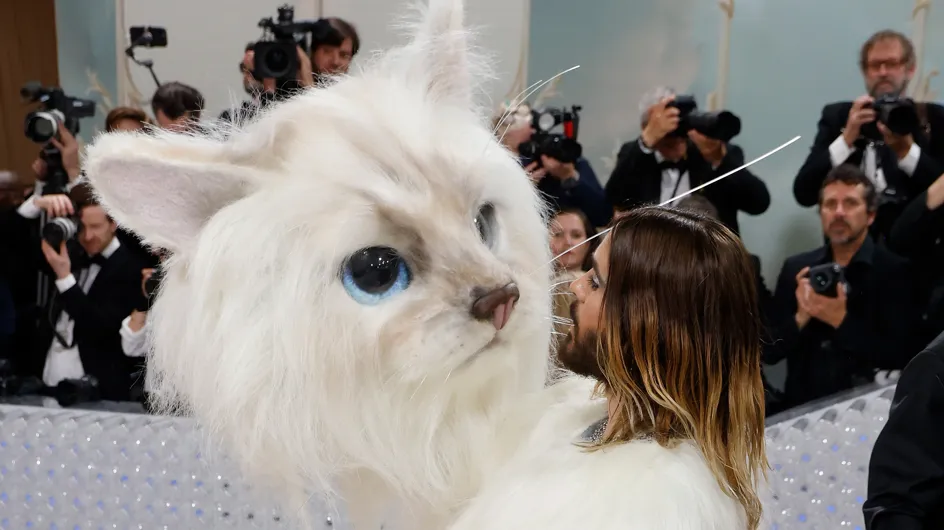 Met Gala 2023: also the cat of Karl Lagerfeld on the catwalk (along with other incredible looks)