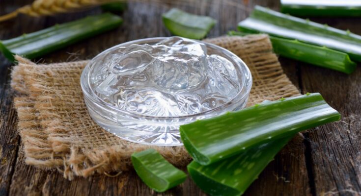 Aloe vera gel: benefits, uses, beauty remedies and the best products on the market