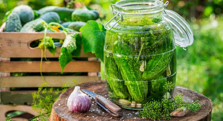 Cucumber: properties, nutritional values, benefits and uses in cooking and beauty