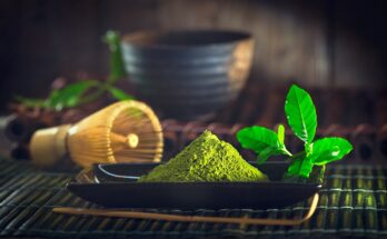 Green tea: what it is, properties and nutritional values, benefits, how much to drink per day, side effects
